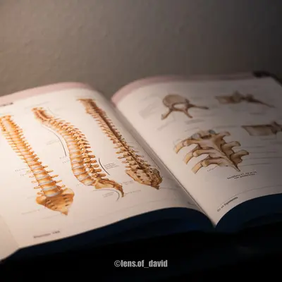 Livre d'anatomie Atlas