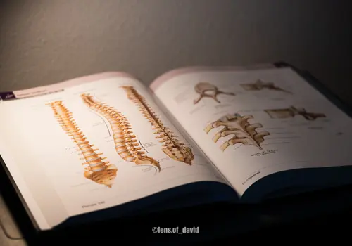 Livre d'anatomie Atlas