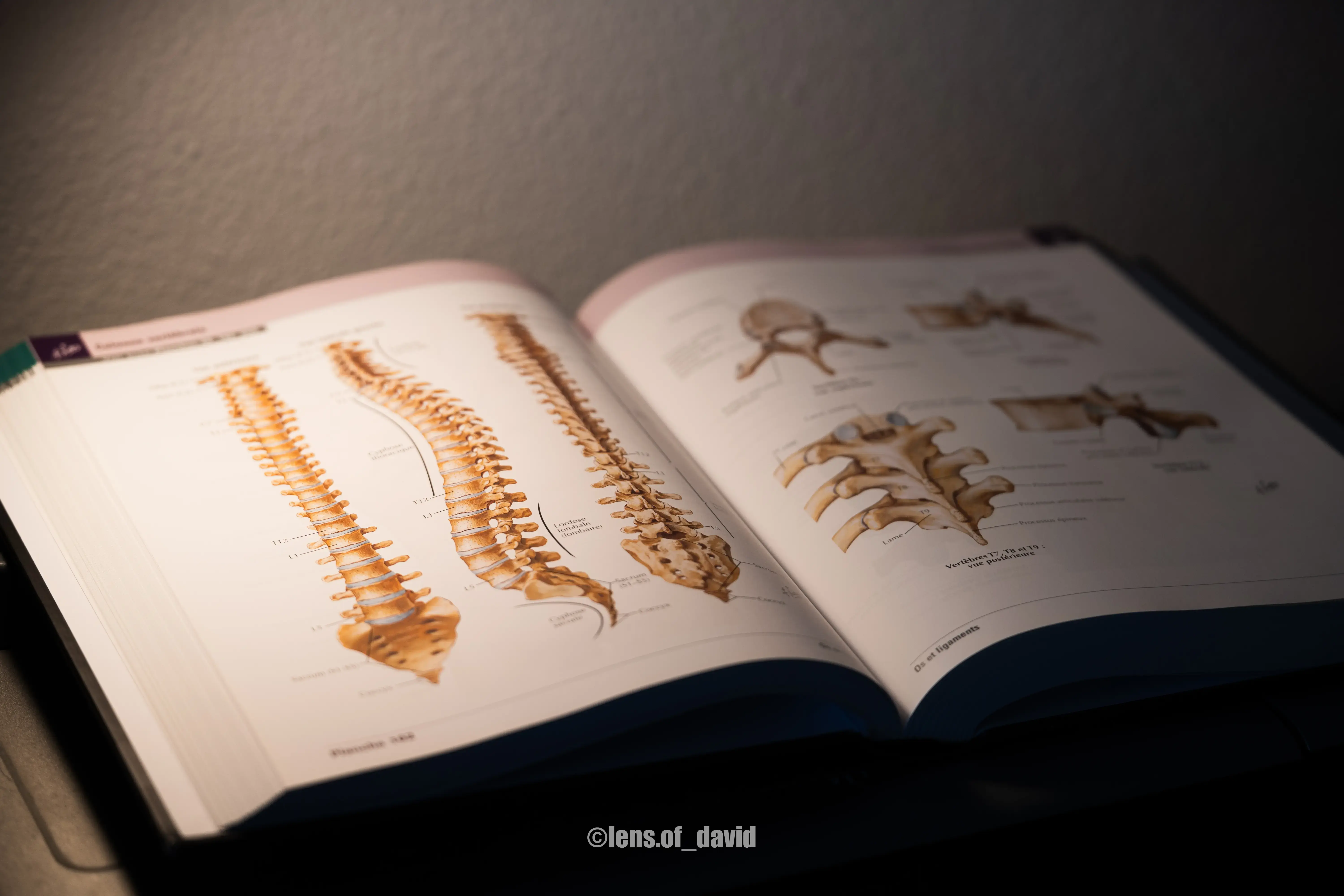 Livre d'anatomie Atlas